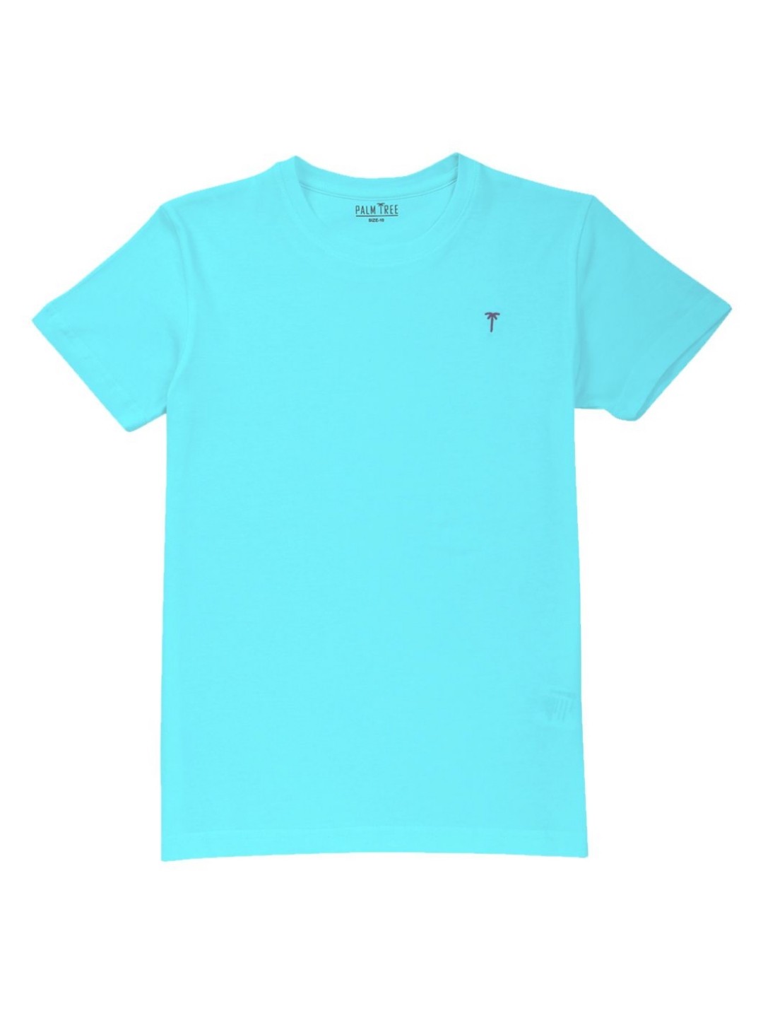 

Palm Tree Boys Solid Round Neck Cotton T-shirt, Blue