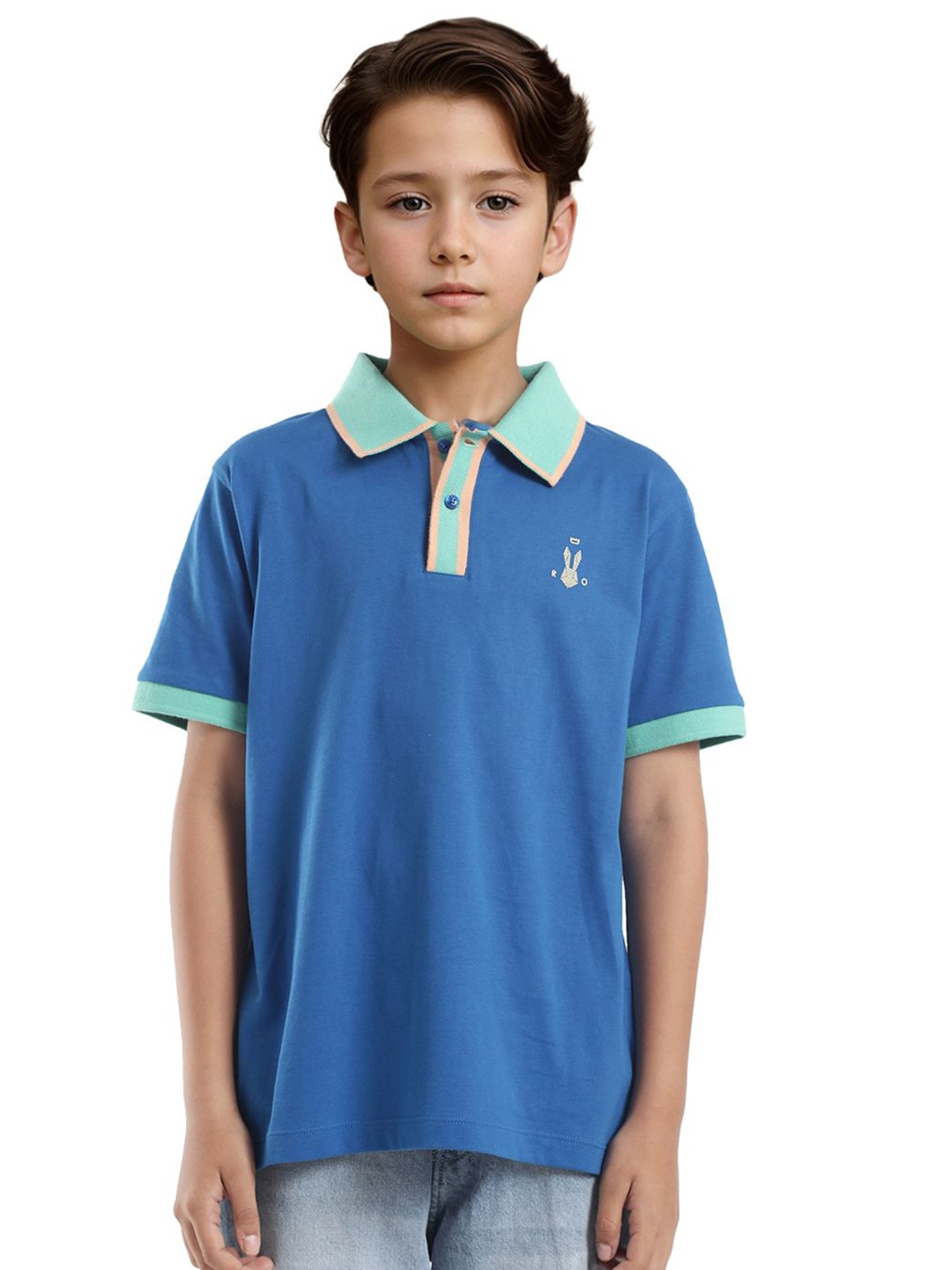 

Rare Ones Boys Contrasting Collar Solid Polo, Blue