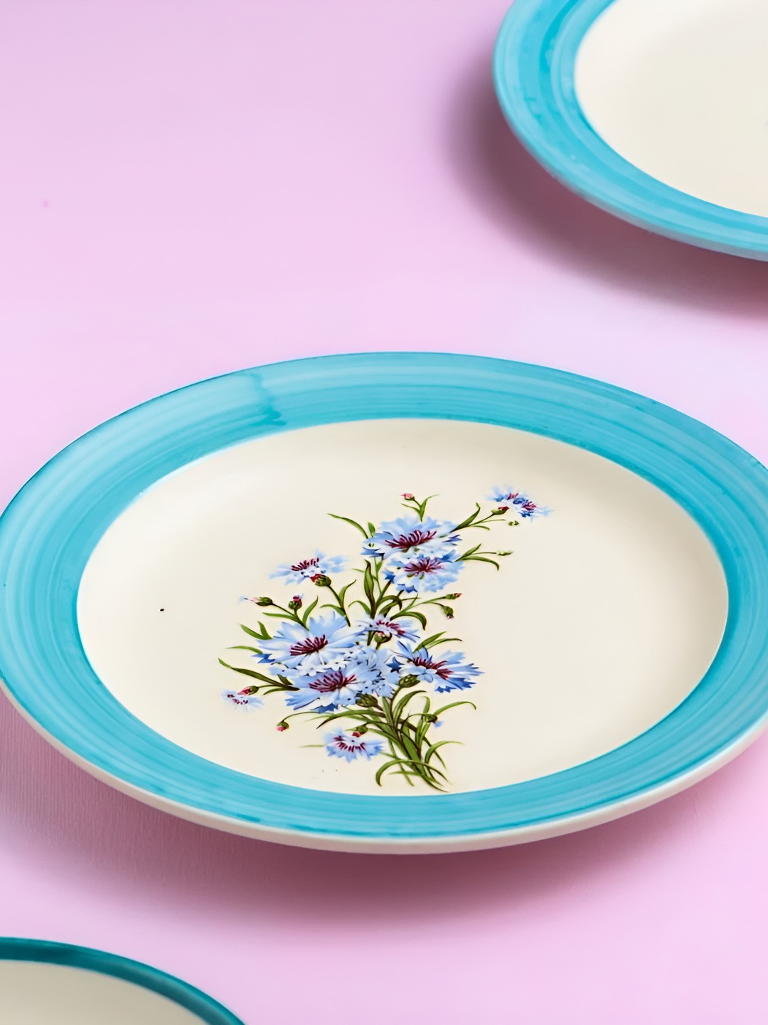 

AMALAFIEE CERAMICS White & Blue Printed Matte Ceramic Microwave Safe Plate