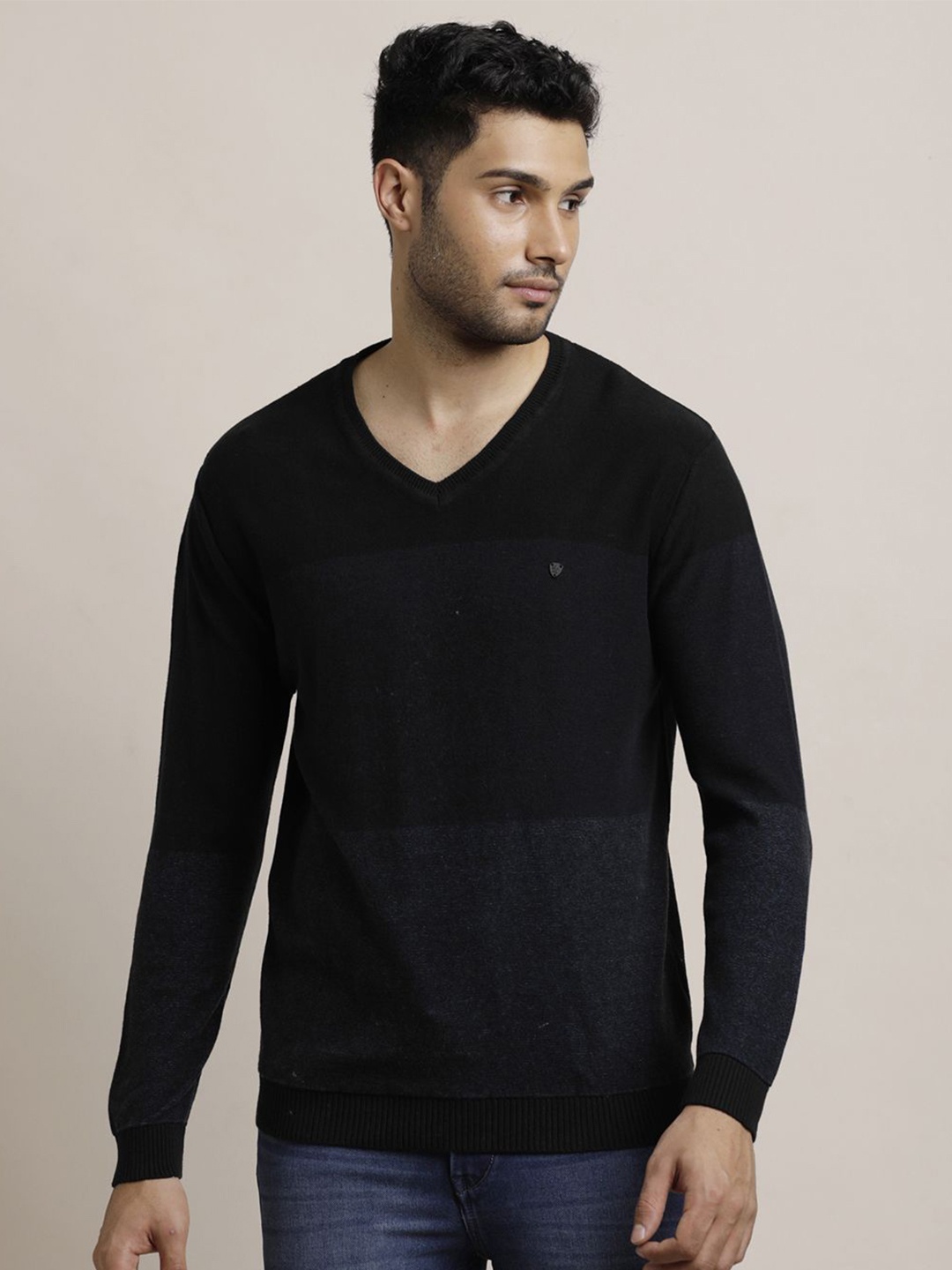 

Turtle Men Colourblocked Pullover, Navy blue