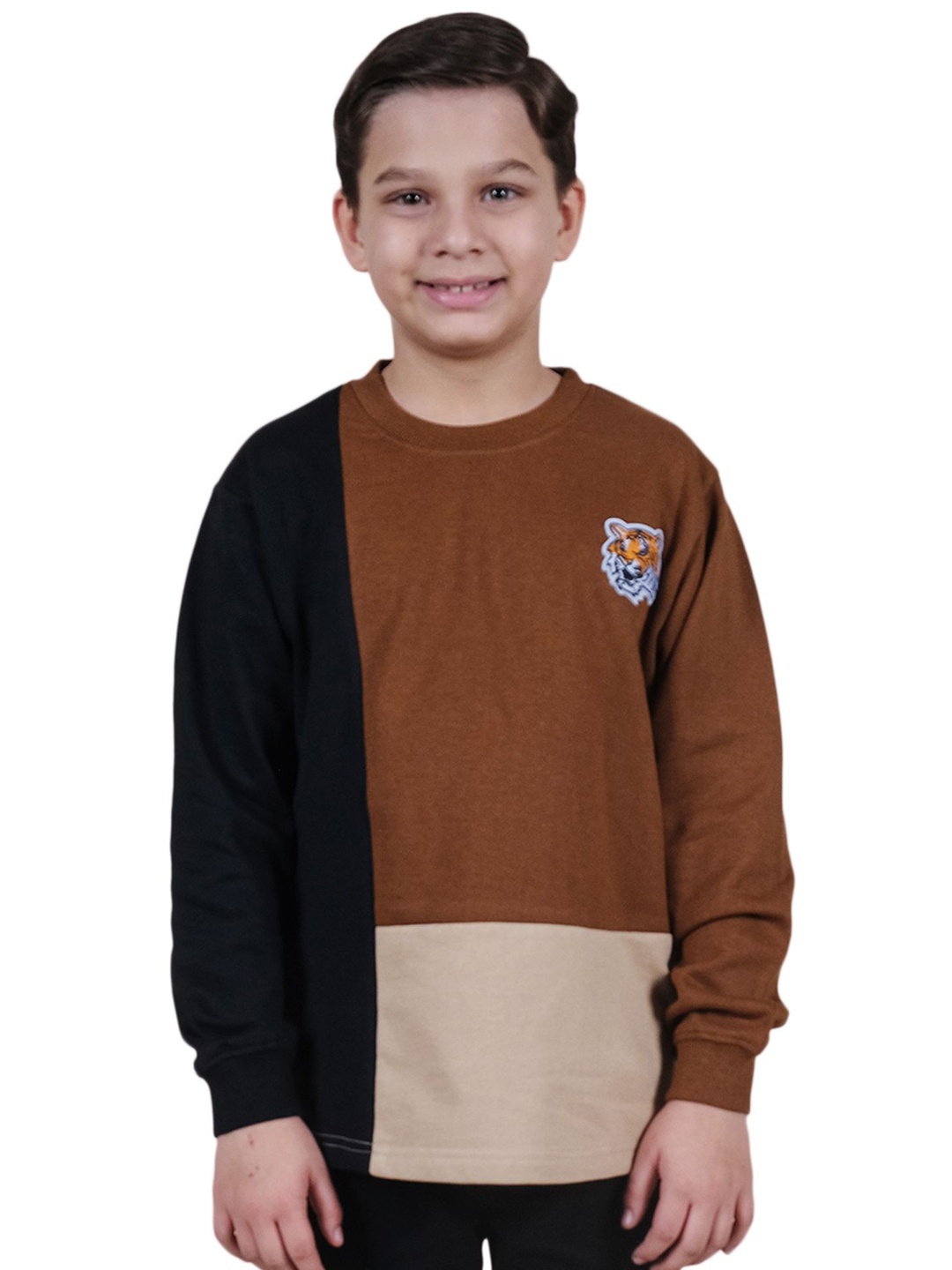 

KiddoPanti Boys Colourblocked Round Neck Sweatshirt, Brown