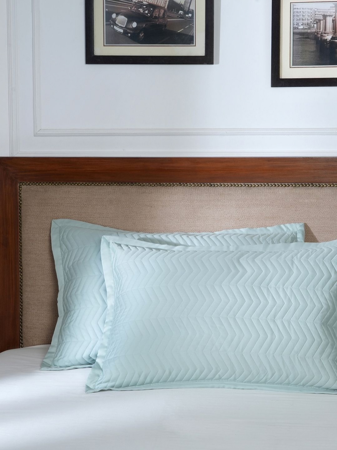 

MASPAR Blue 2 Pieces Pure Cotton Rectangle Pillow Covers