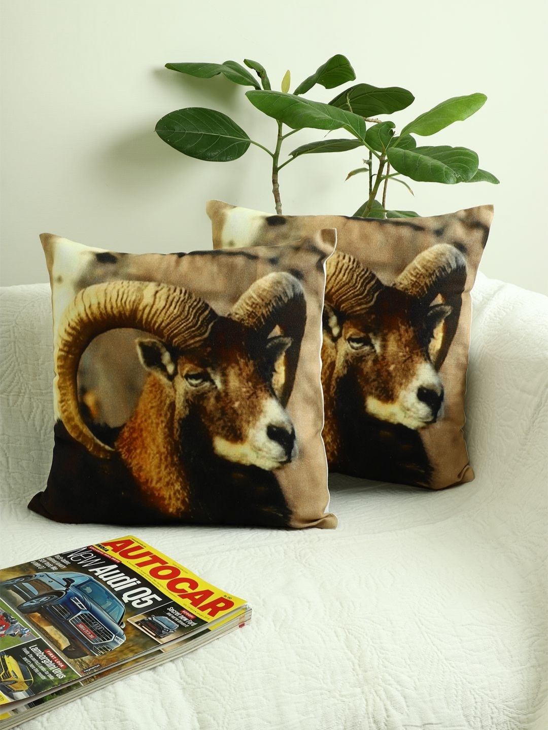 

Jamio Firati Brown & Beige 2 Pieces Quirky Square Cushion Covers