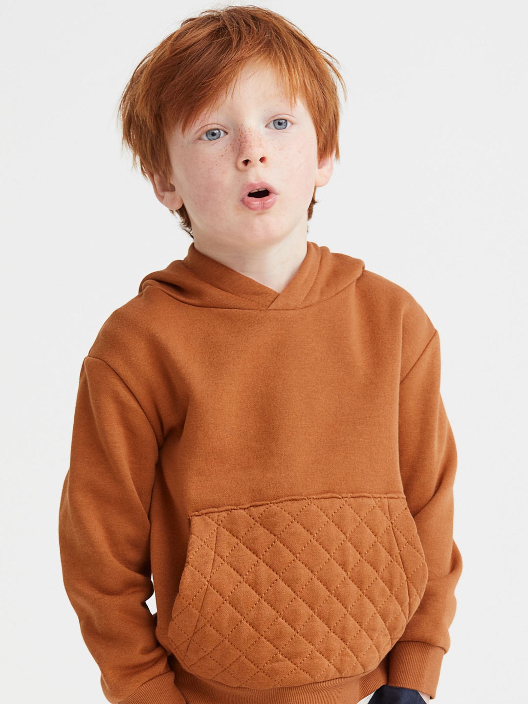 

H&M Kids Boys Hoodie, Brown