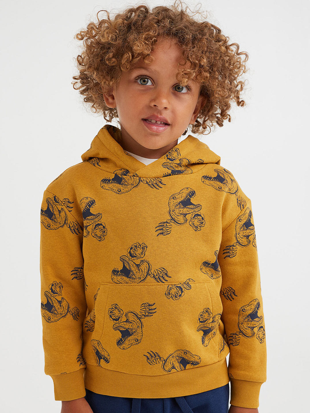 

H&M Boys Dinosaur Printed Hoodie, Multi