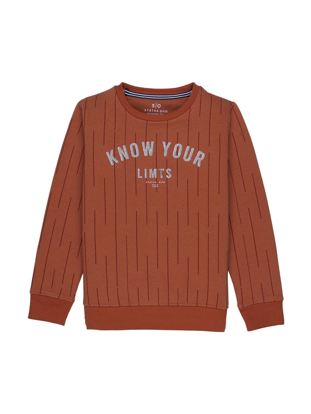 

Status Quo Boys Rust Printed Round Neck Sweatshirt