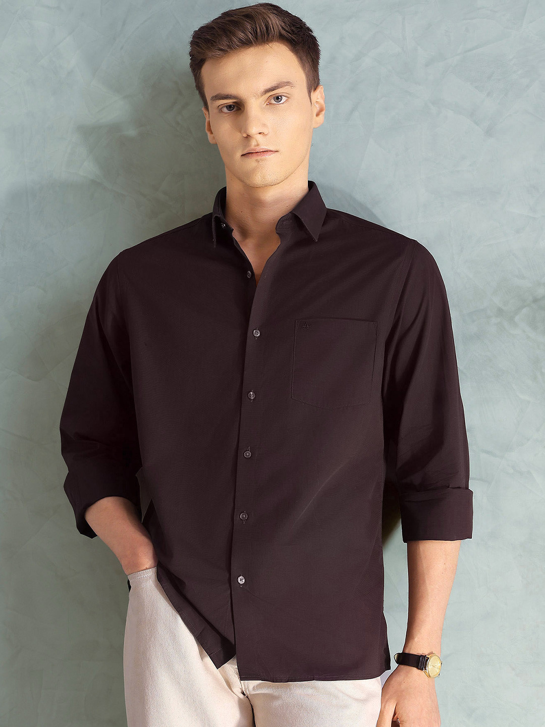 Arrow Slim Fit Formal Pure Cotton Shirt