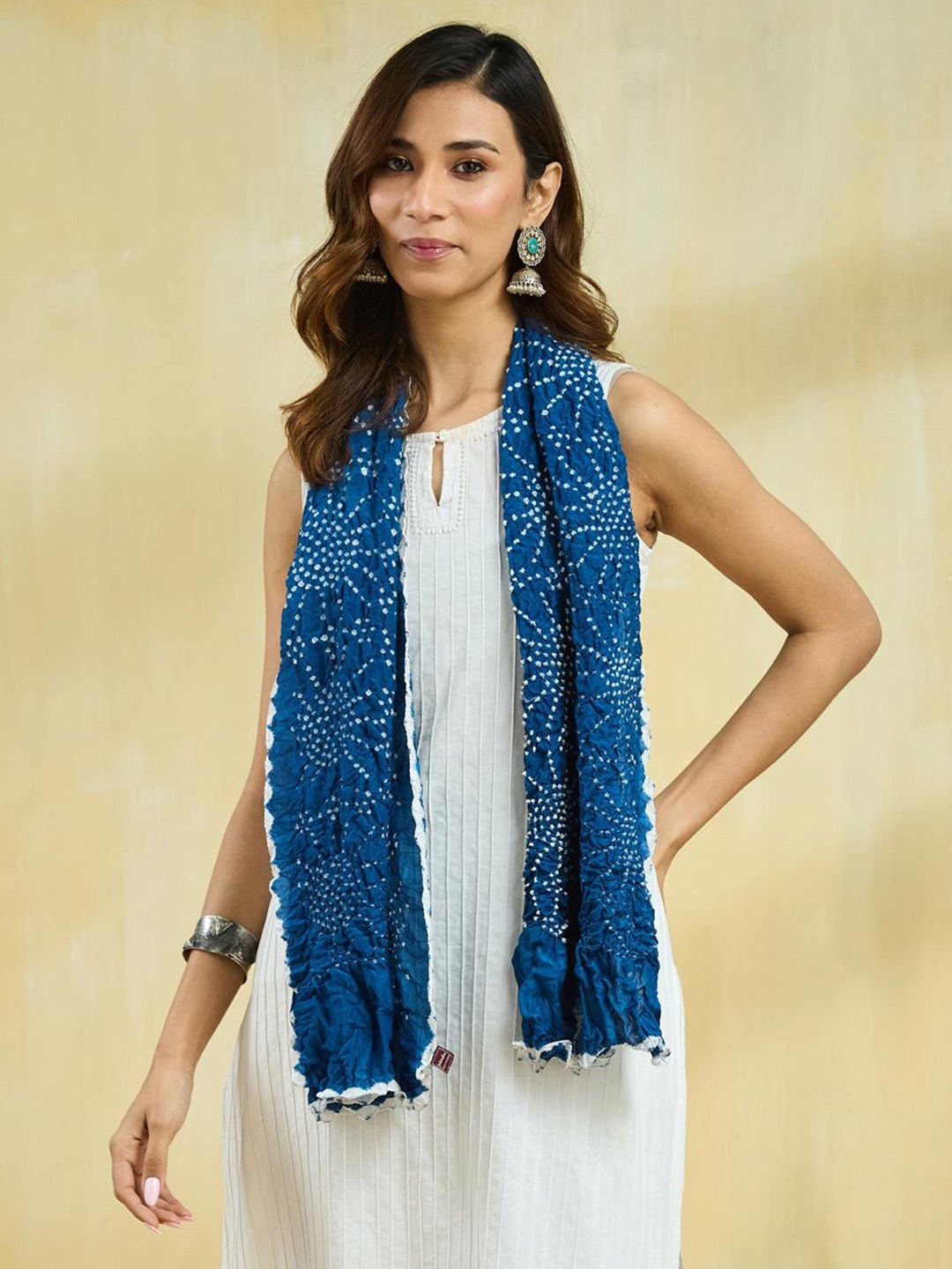 

Fabindia Women Bandhani Embroidered Stole, Blue