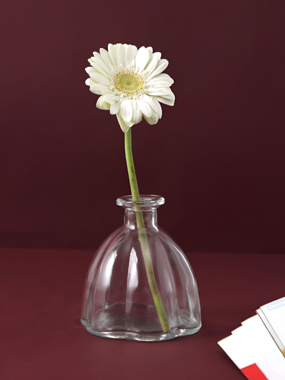 

Myntra Elegant Homes Grey And Transparent Glass Oval Jar Styled Vase