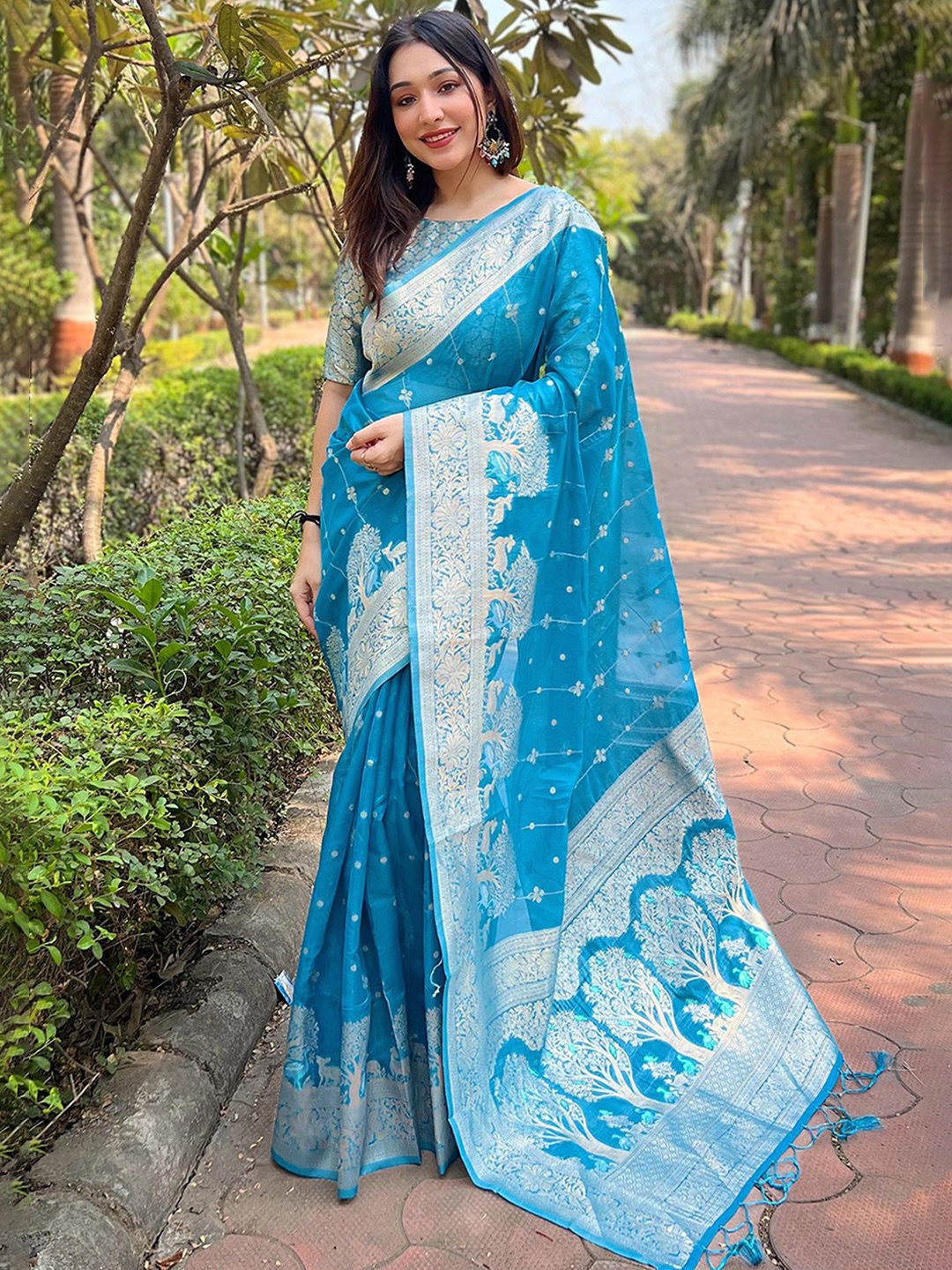 

DIVASTRI Woven Design Zari Organza Saree, Blue