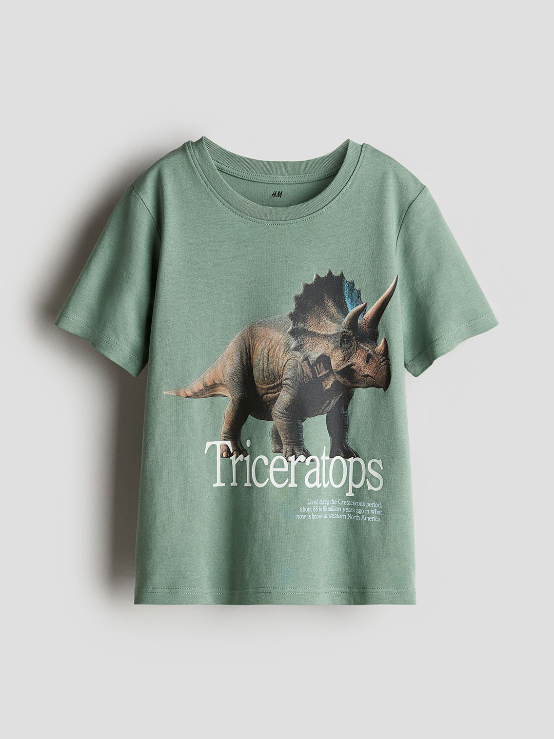 

H&M Printed T-Shirt, Green