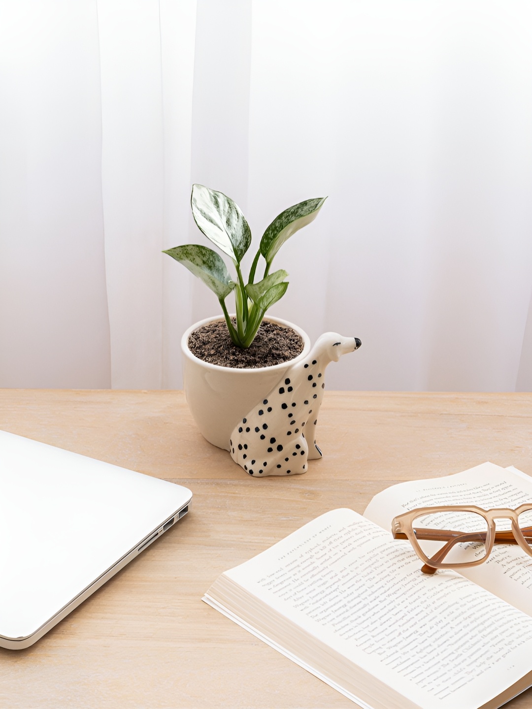 

Claymistry White & Black Ceramic Planter With Spotted Dog