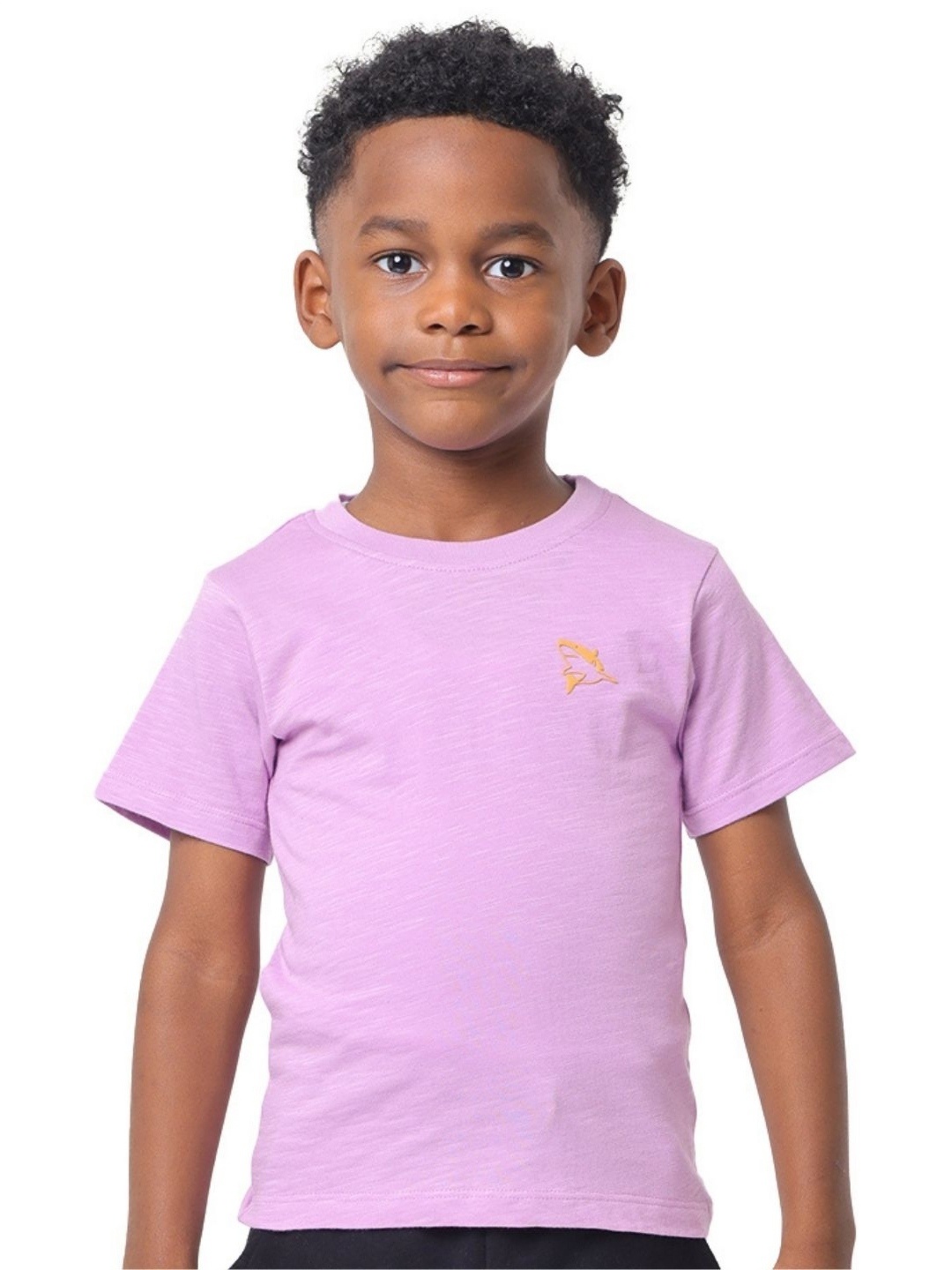 

Nuego Boys Solid Bio Finish Round Neck Half Sleeve Cotton T-shirt, Lavender