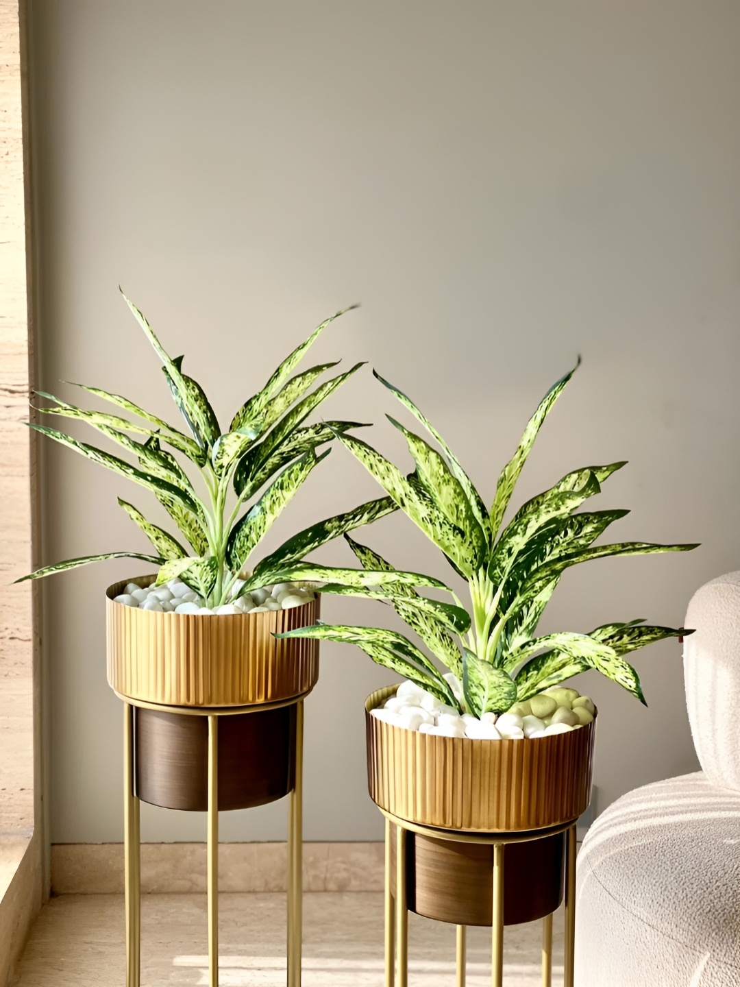 

Mason Home Green 2 Pieces Artificial Chinese Evergreen Plant