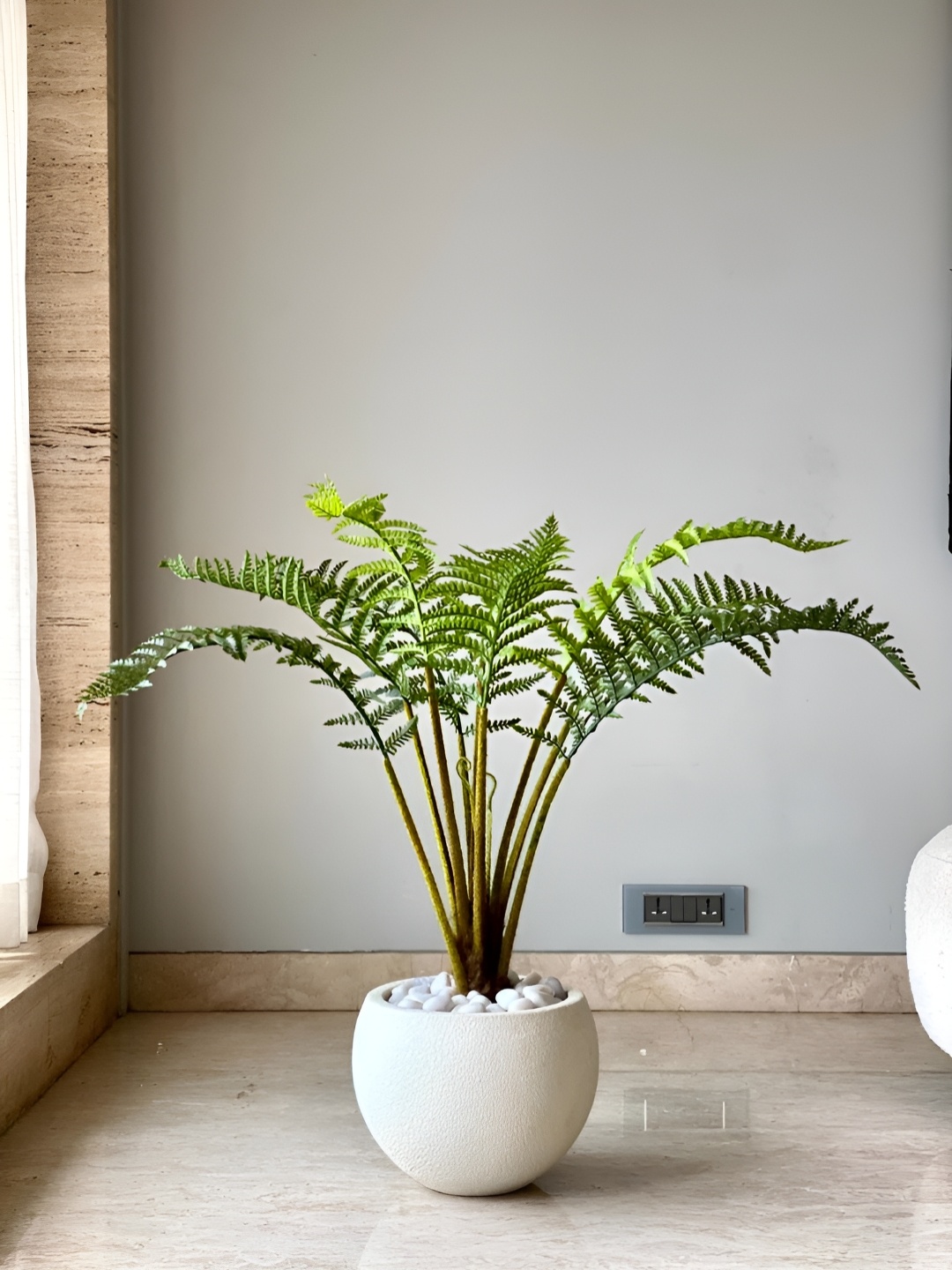 

Mason Home Green & Brown Fern Artificial Plant