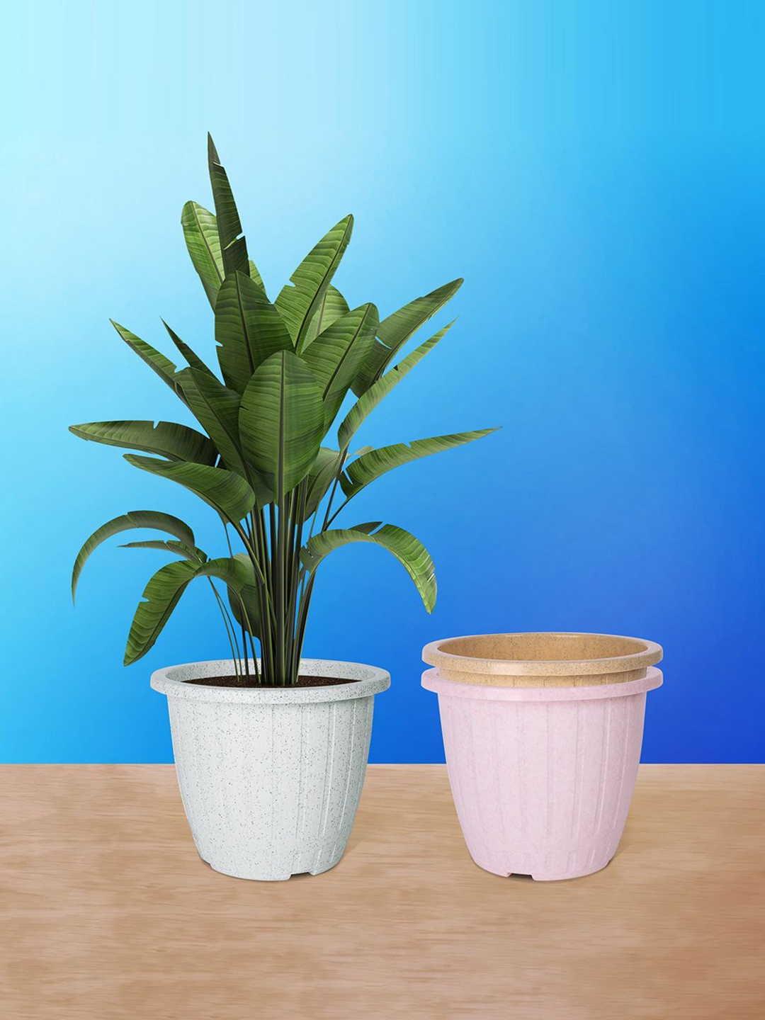 

Kuber Industries White & Pink 3 Pieces Textured Round Marble Euro Planters