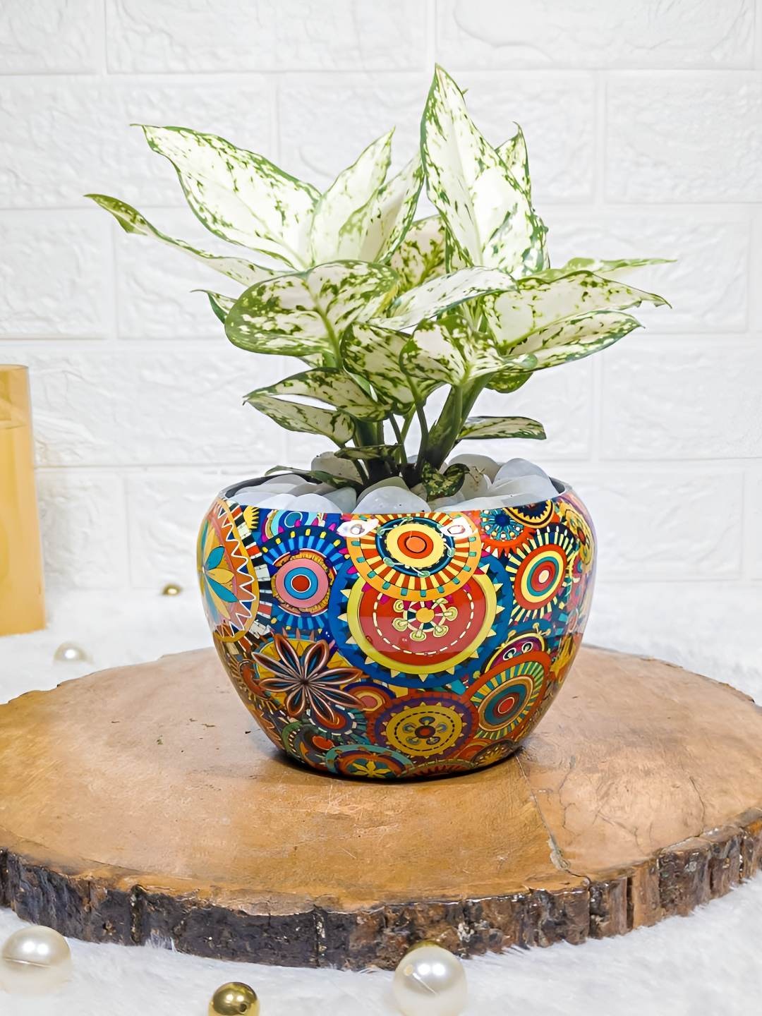

Floral Boutique Green & Blue Indoor Aglaonema Snow Live Plant With Printed Pot