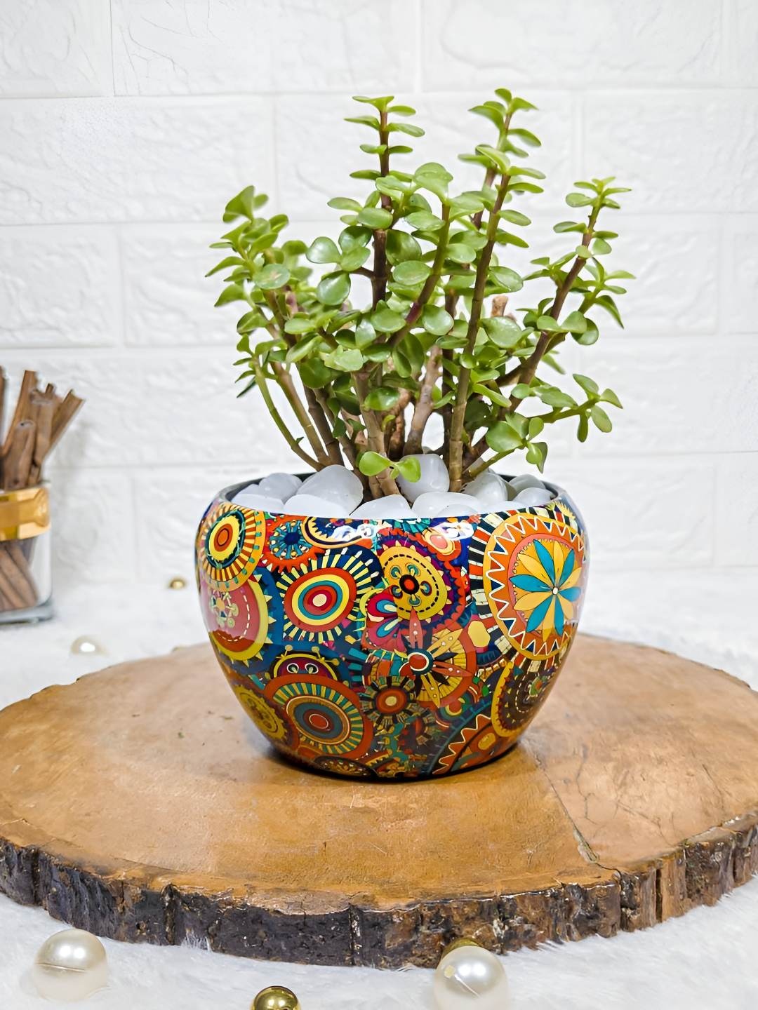 

Floral Boutique Green & Blue Indoor Jade Live Plant With Metal Pot