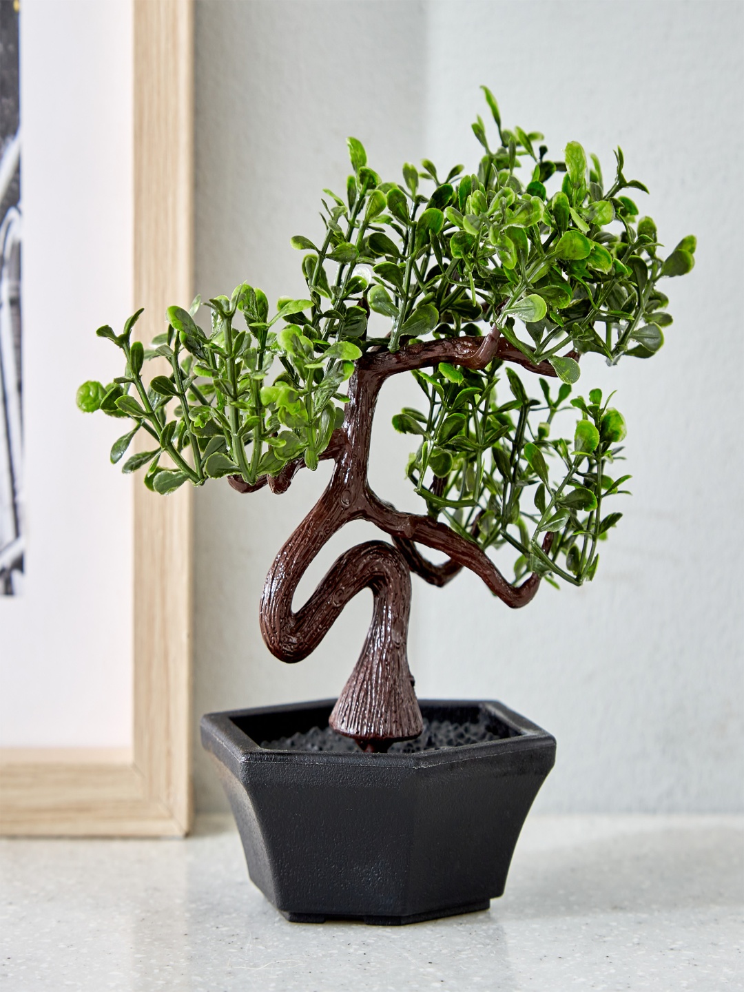 

Home Centre Black 1 Pieces Artificial Plant With Pot