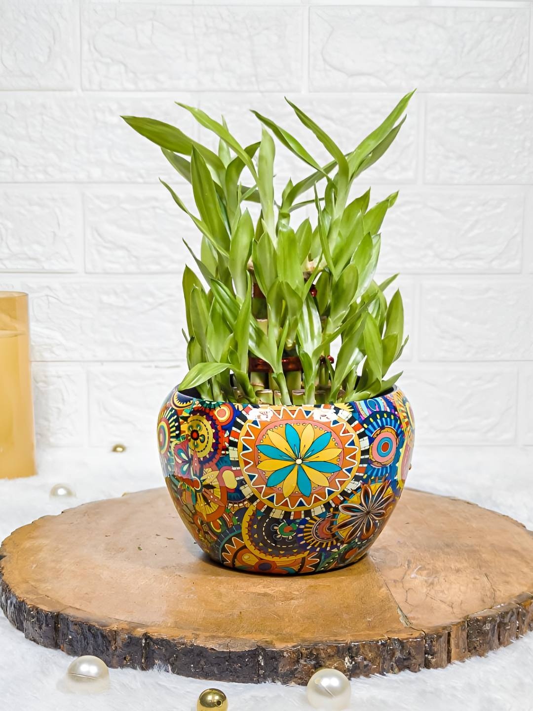 

Floral Boutique Green & Blue Indoor Lucky Bamboo Live Plant With Printed Pot