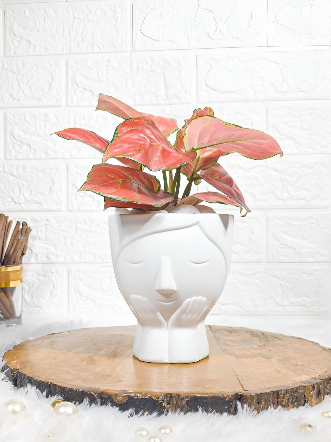 

Floral Boutique Green & Pink Indoor Aglaonema Live Plant With Pot