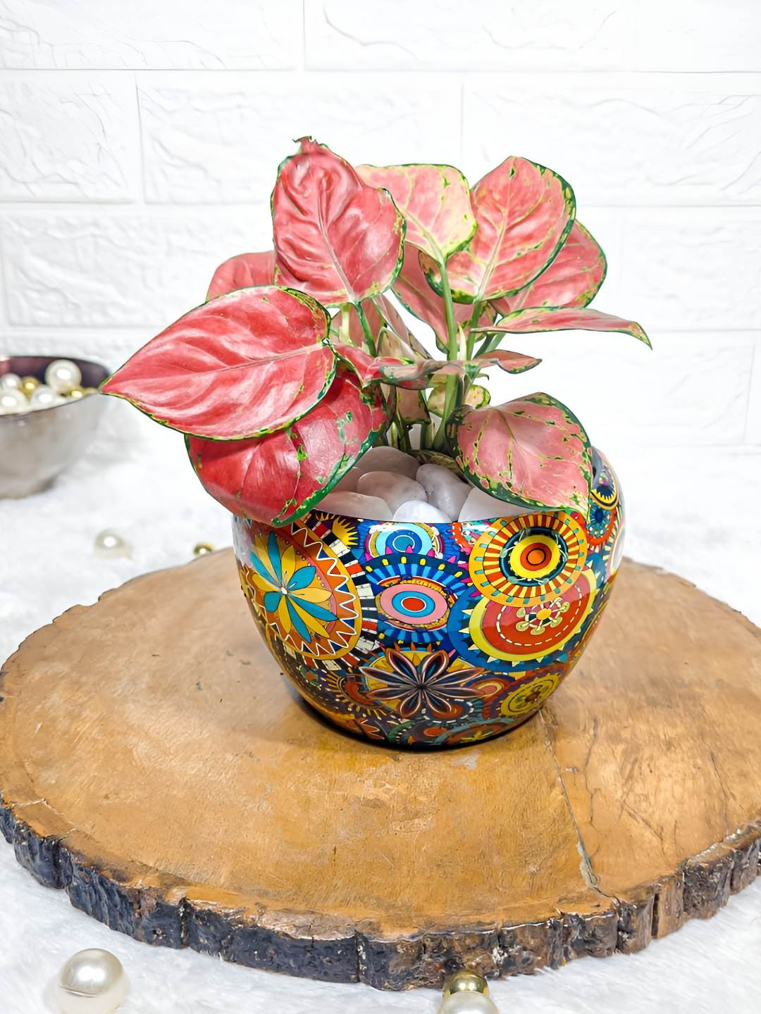 

Floral Boutique Pink Indoor Aglaonema Diamond Live Plant With Pot