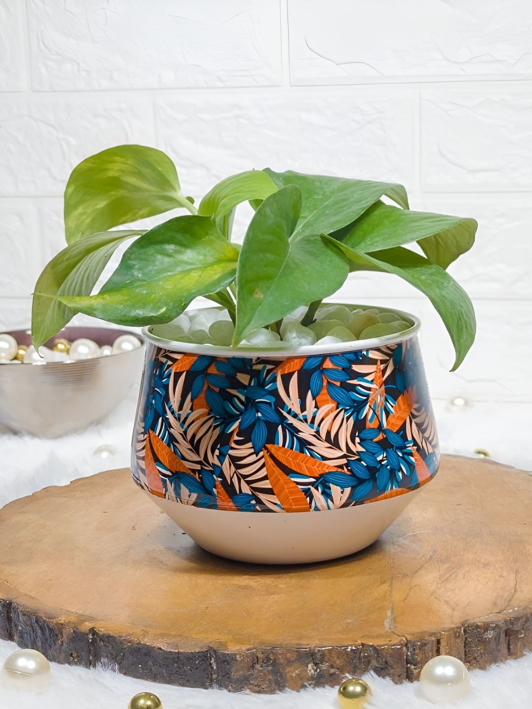 

Floral Boutique Green & Blue Indoor Money Live Plant With Pot