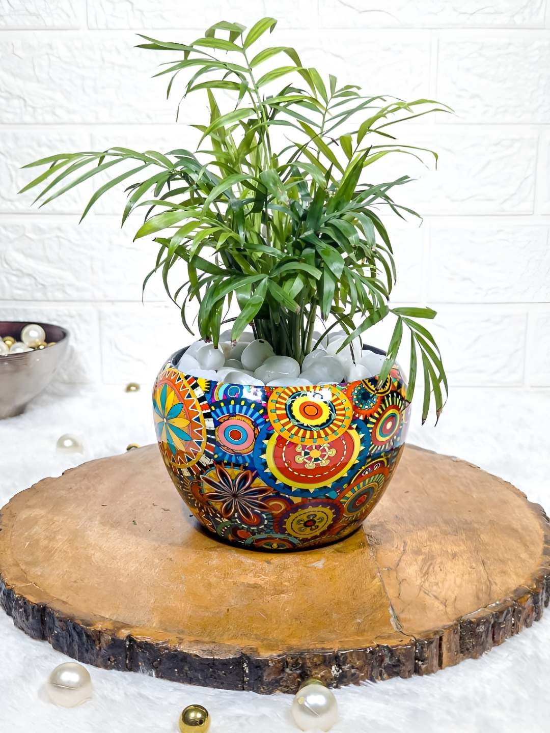 

Floral Boutique Green Indoor Bamboo Palm Live Plant With Pot