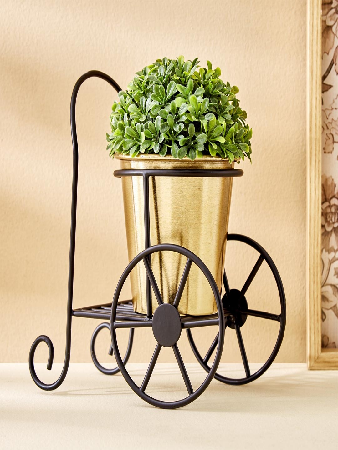 

Home Centre Gloria Wheels Gold-Toned & Black Metal Tricycle Planter