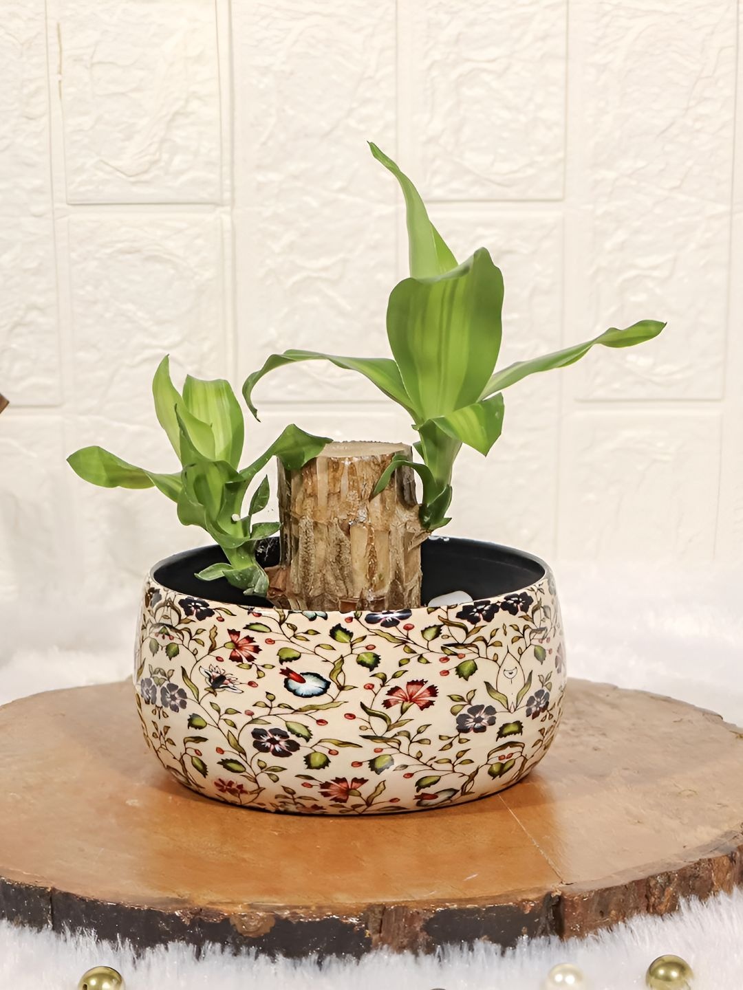 

Floral Boutique Green & Beige Indoor Brazilian Wood Bamboo Live Plant With Pot