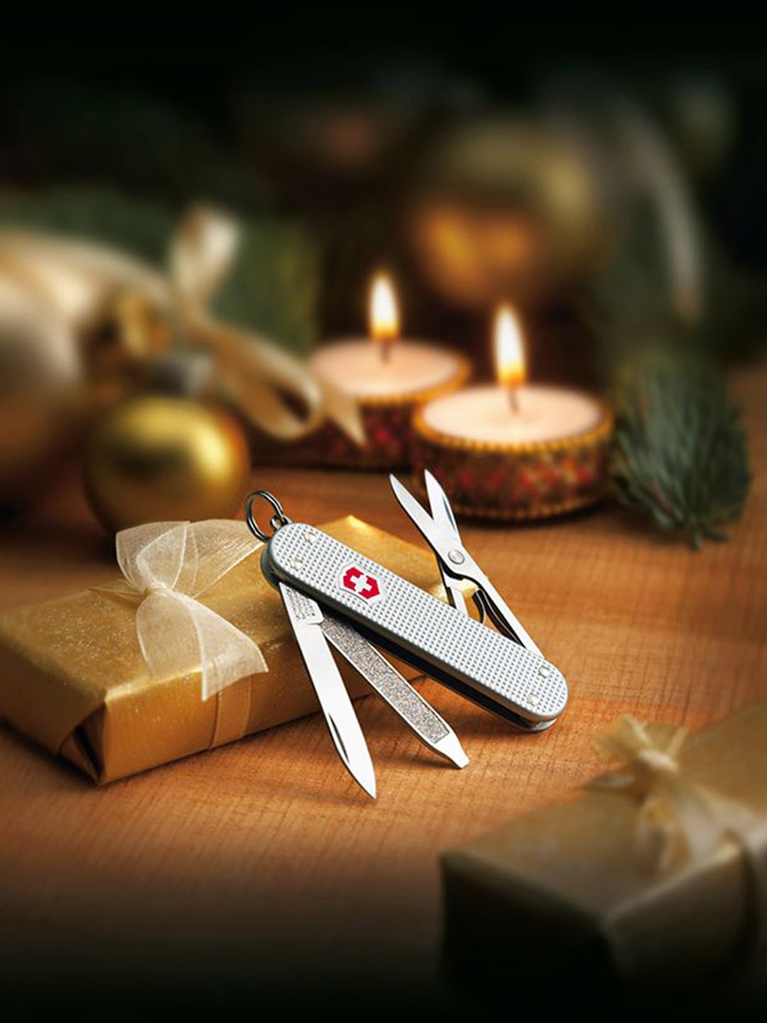 

Victorinox Swiss Knives Travel Accessory, Silver