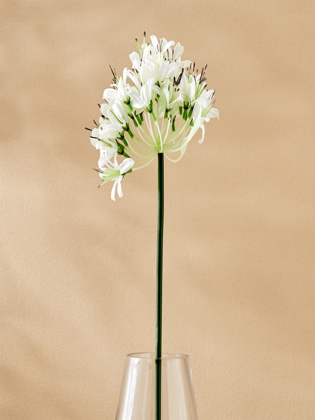 

Home Centre White & Green Artificial Flower Without Pot