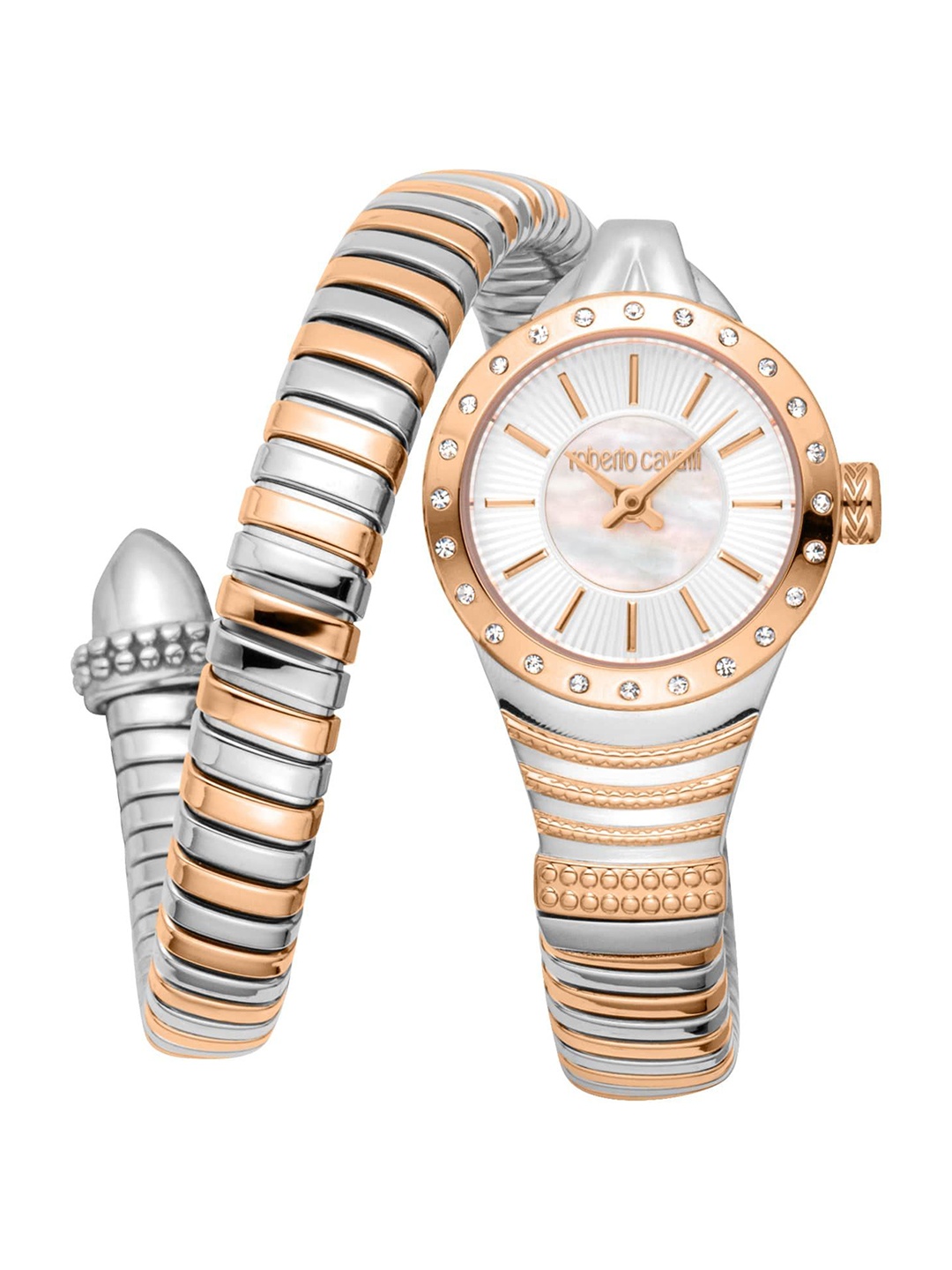 

Roberto Cavalli Women Embellished Dial & Stainless Steel Bracelet Style Straps Analogue Automatic Watch, Multi