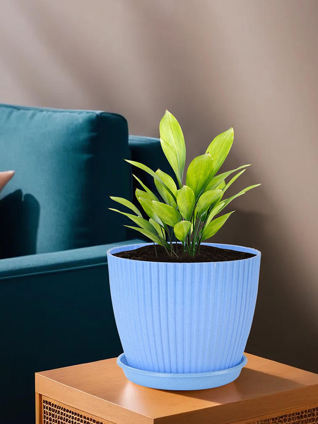 

Kuber Industries Beige & Blue 2 Pieces Textured Planters With Trays
