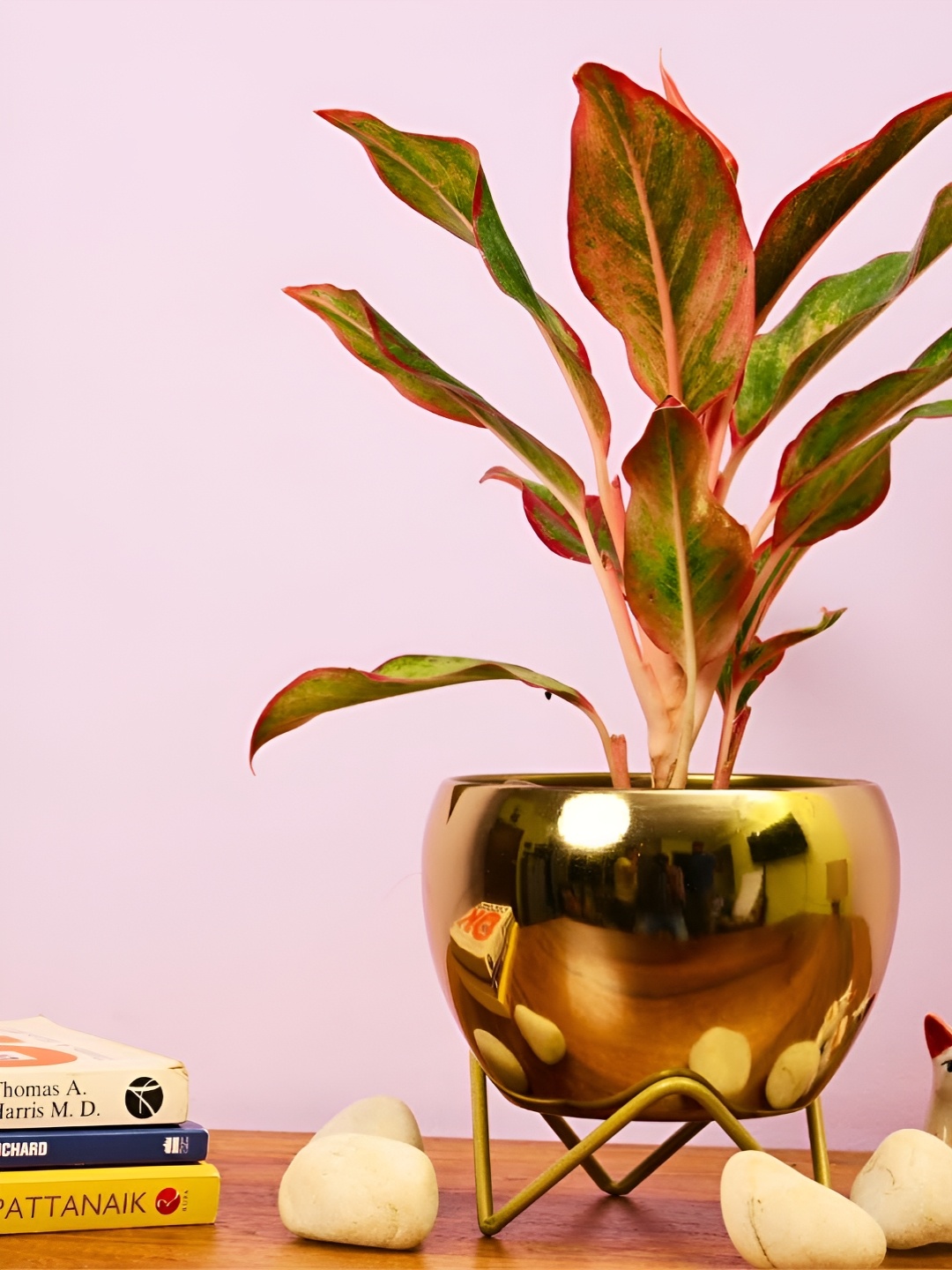 

CK HOMEZ Brown Round Metal Planter With Stand