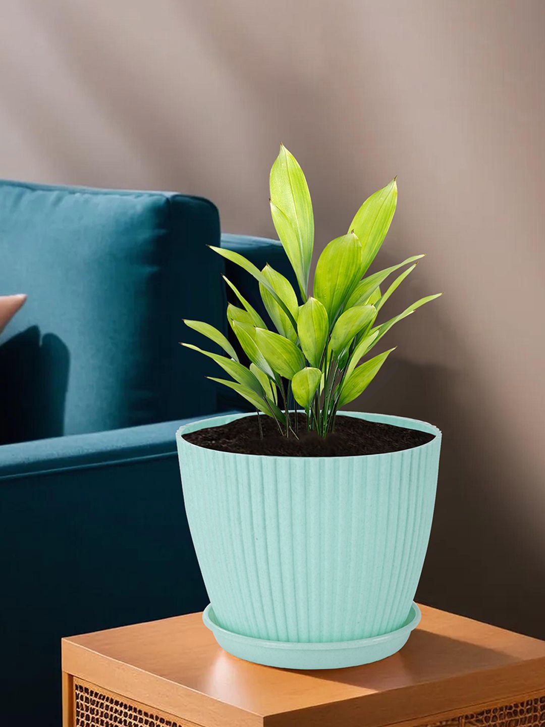 

Kuber Industries Blue & Green 6 Textured Textured Planters With Trays