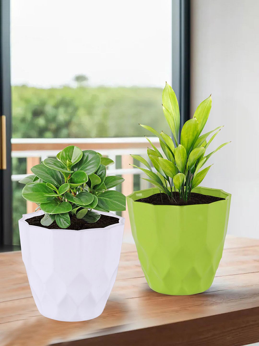 

Kuber Industries White & Green 6 Pieces Barfi Pattern Durable Planters