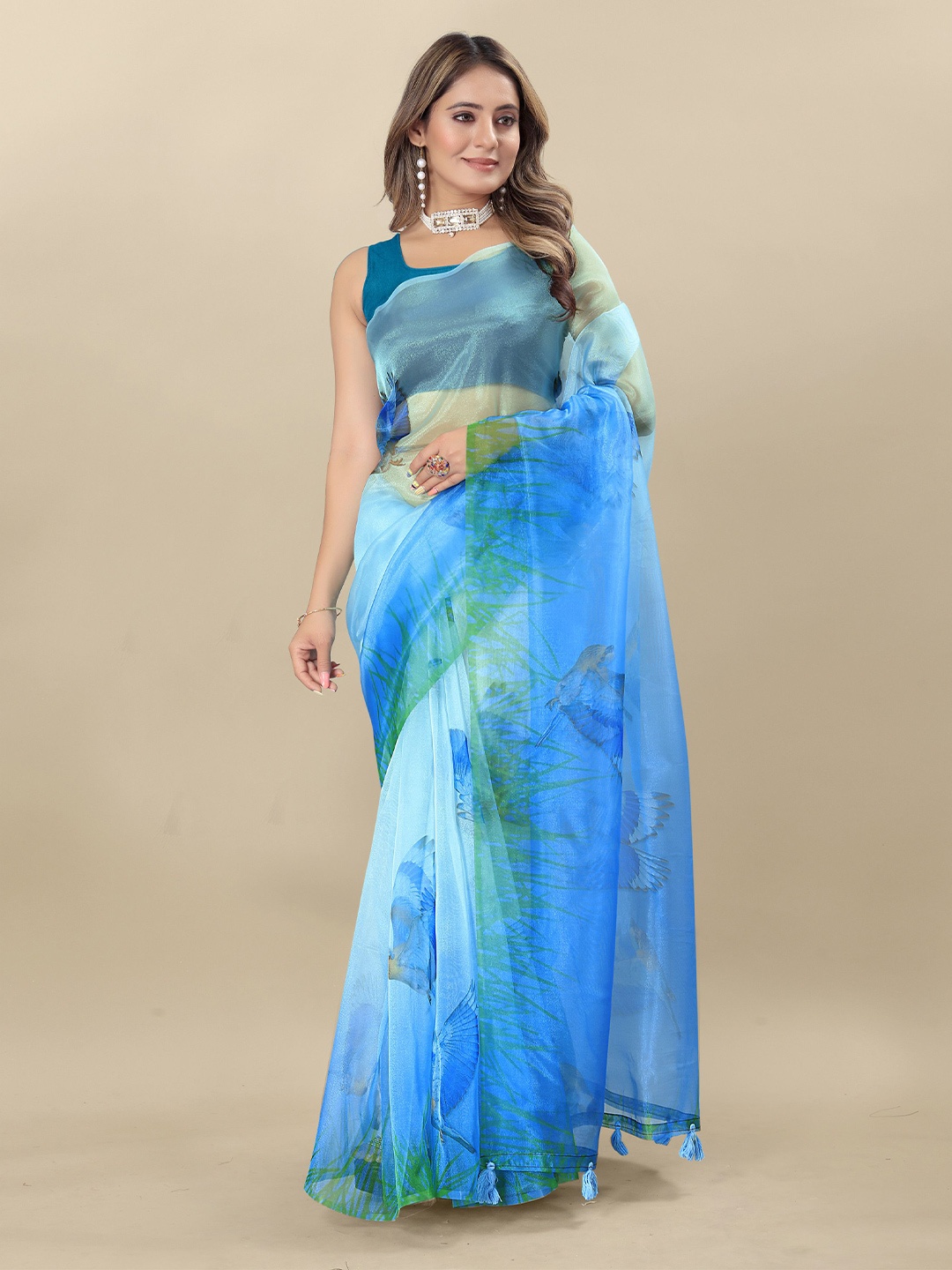 

DIVASTRI Floral Organza Saree, Blue
