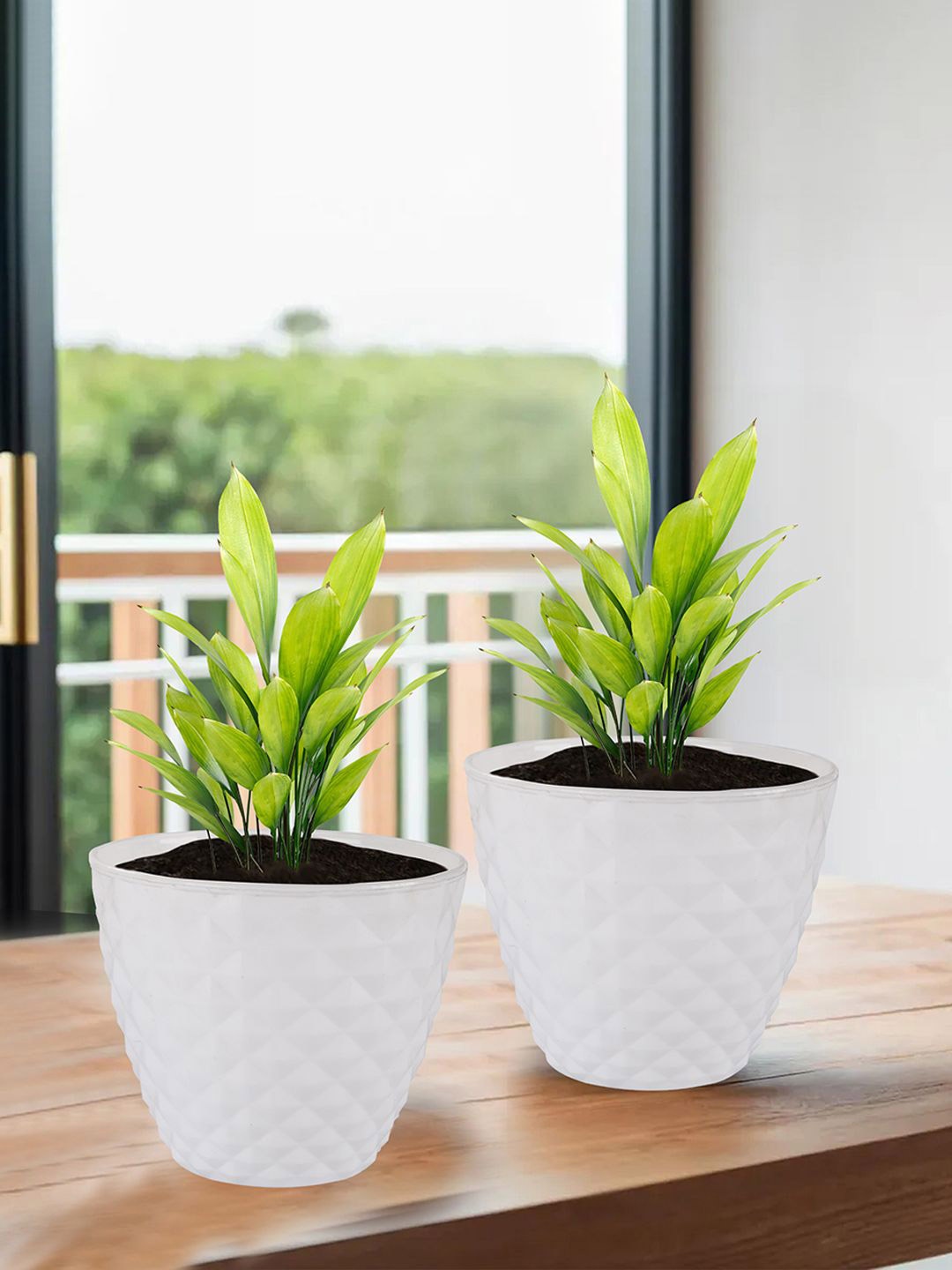 

Kuber Industries White 6 Pieces Diamond Pattern Durable Planters