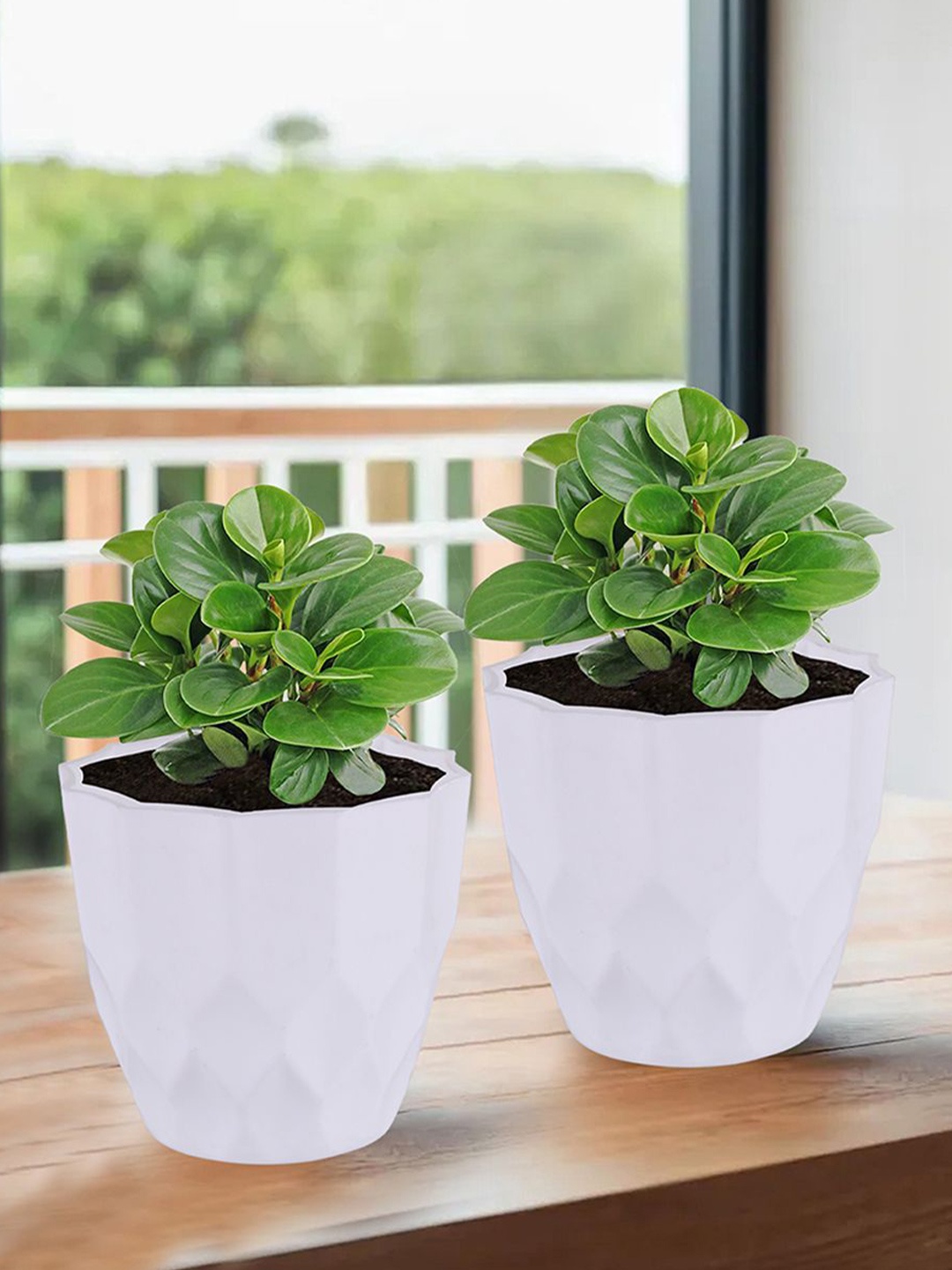 

Kuber Industries White 2-Pieces Textured Planters