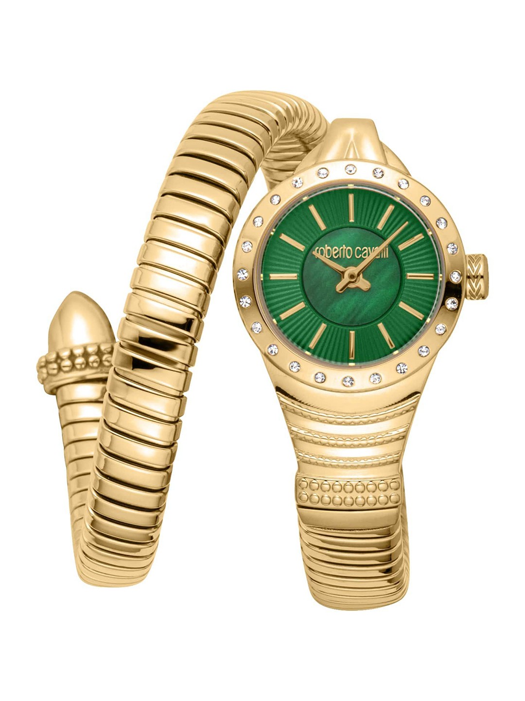 

Roberto Cavalli Women Embellished Dial & Stainless Steel Bracelet Style Straps Analogue Automatic Watch, Gold