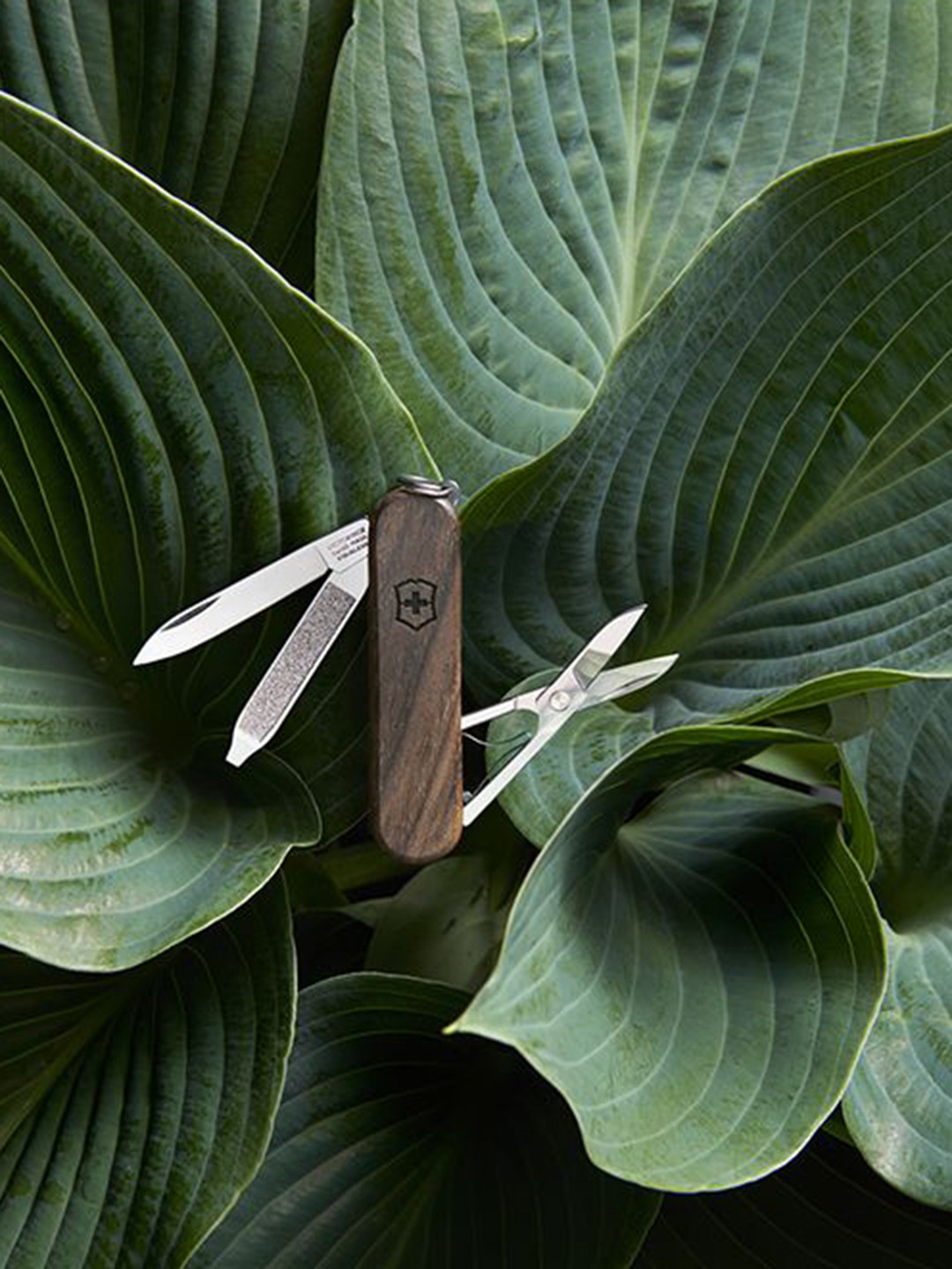 

Victorinox Foldable Swiss Knives Travel Accessory, Brown