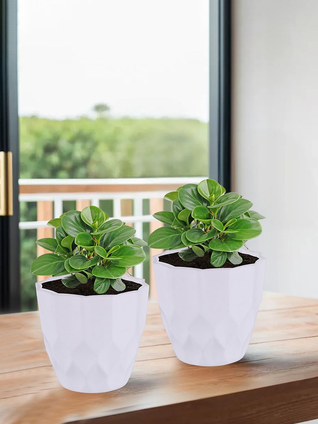 

Kuber Industries White 6 Pieces Textured Durable Planters