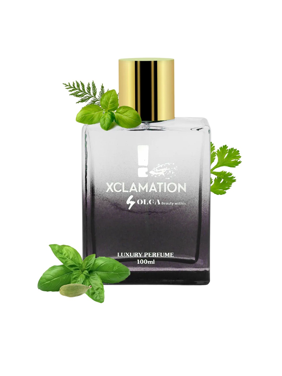 

OLGA PERFUMES Xclamation Long Lasting Perfume - 100 ml, Black