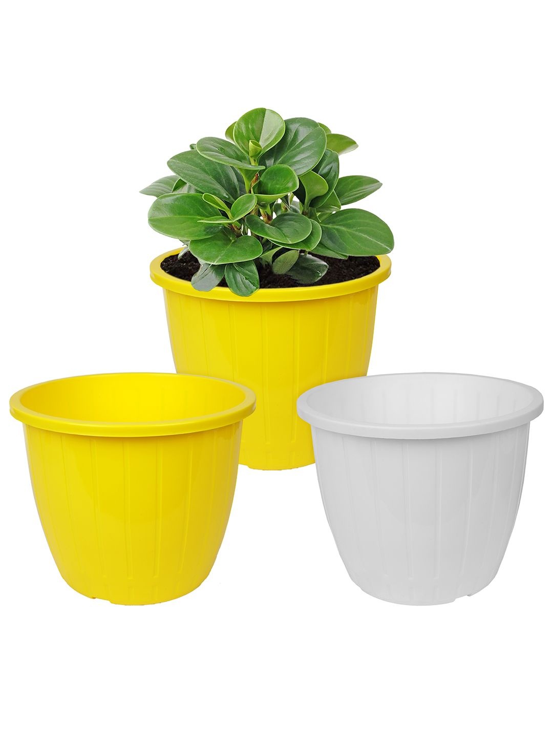 

Kuber Industries White & Yellow Pack of 3 Duro-Design Flower Planters