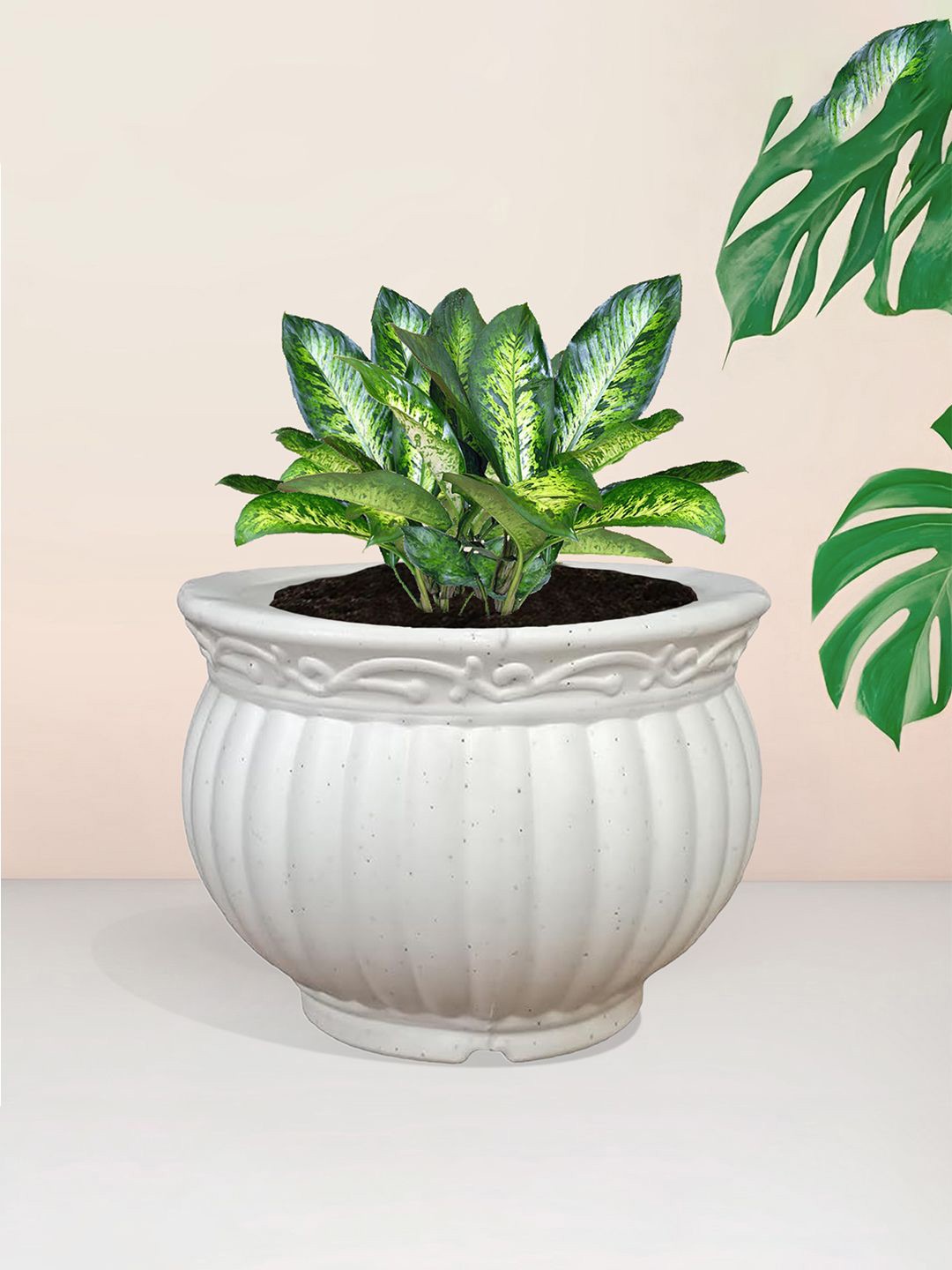 

Kuber Industries White Textured Planter