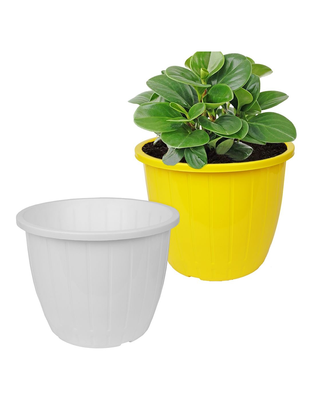 

Kuber Industries Yellow & White Pack of 2 Duro-Design Flower Planters
