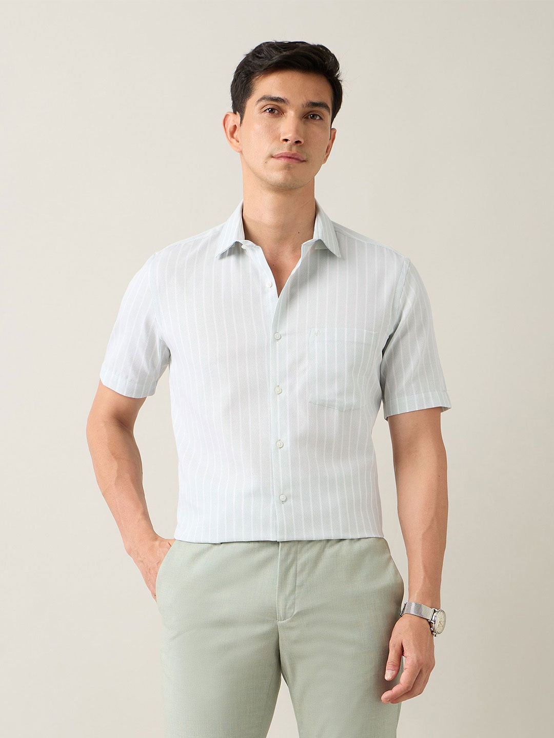 

Arrow Men Classic Opaque Striped Formal Shirt, Green