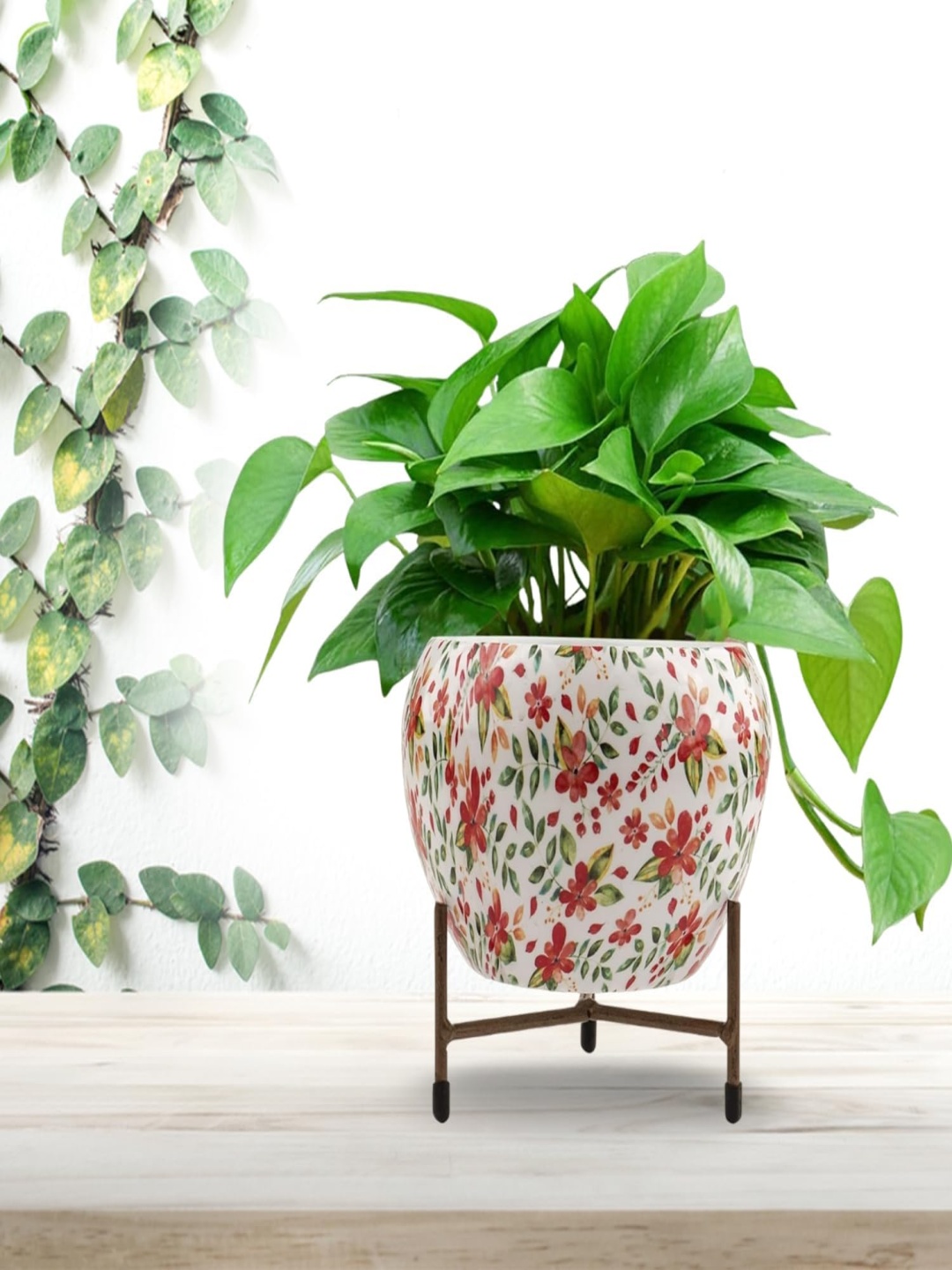

CK HOMEZ White And Red Floral Printed Metal Planter With Stand