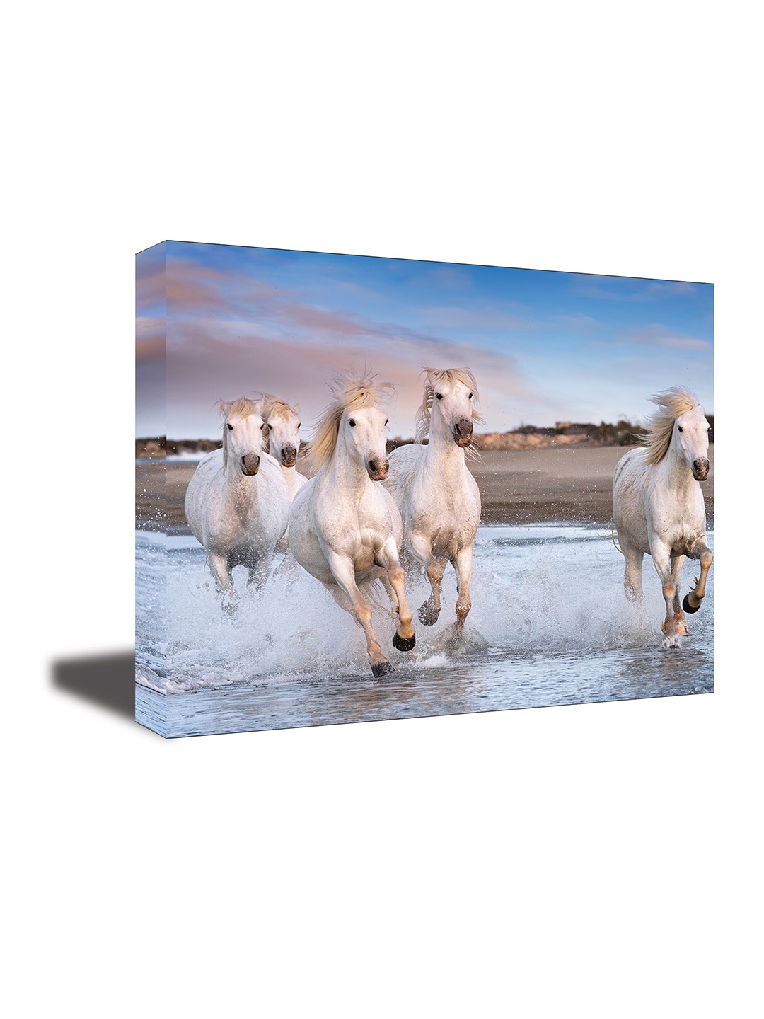 

CVANU White & Blue Canvas Animal Painting Wall Art